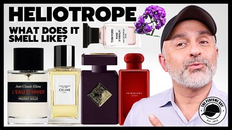 what does heliotrope smell like